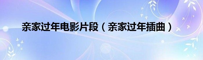 亲家过年电影片段（亲家过年插曲）