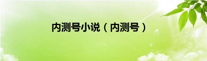 内测号小说（内测号）