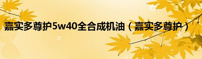 嘉实多尊护5w40全合成机油（嘉实多尊护）