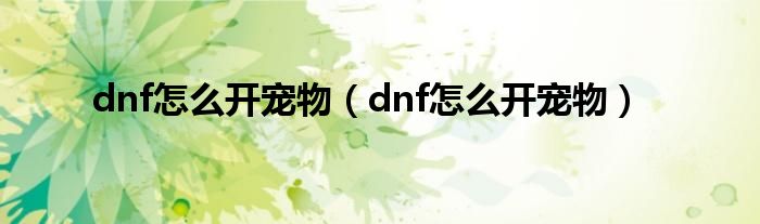 dnf怎么开宠物（dnf怎么开宠物）