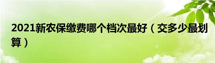 2021新农保缴费哪个档次最好（交多少最划算）