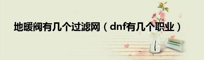 地暖阀有几个过滤网（dnf有几个职业）