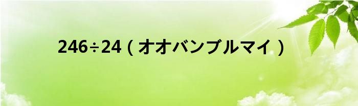 246÷24（オオバンブルマイ）