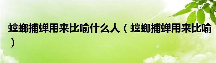 螳螂捕蝉用来比喻什么人（螳螂捕蝉用来比喻）