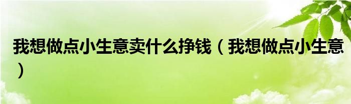 我想做点小生意卖什么挣钱（我想做点小生意）