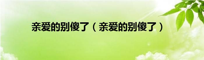 亲爱的别傻了（亲爱的别傻了）