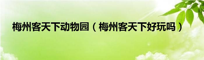 梅州客天下动物园（梅州客天下好玩吗）