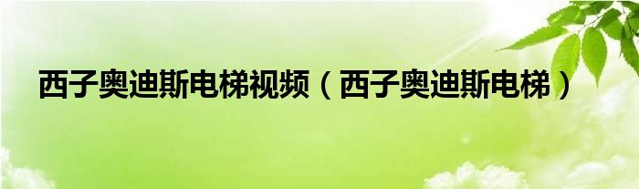 西子奥迪斯电梯视频（西子奥迪斯电梯）