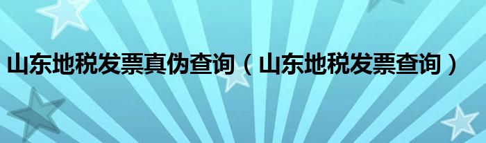 山东地税发票真伪查询（山东地税发票查询）