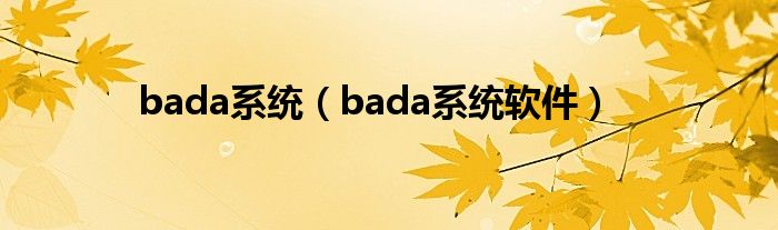 bada系统（bada系统软件）