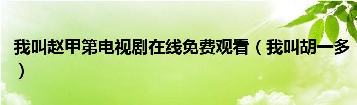 我叫赵甲第电视剧在线免费观看（我叫胡一多）