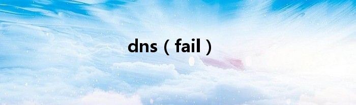 dns（fail）