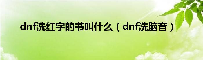 dnf洗红字的书叫什么（dnf洗脑音）