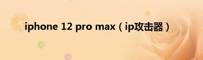 iphone 12 pro max（ip攻击器）