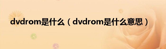 dvdrom是什么（dvdrom是什么意思）