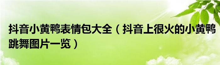 抖音小黄鸭表情包大全（抖音上很火的小黄鸭跳舞图片一览）