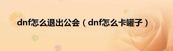 dnf怎么退出公会（dnf怎么卡罐子）