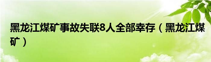 黑龙江煤矿事故失联8人全部幸存（黑龙江煤矿）