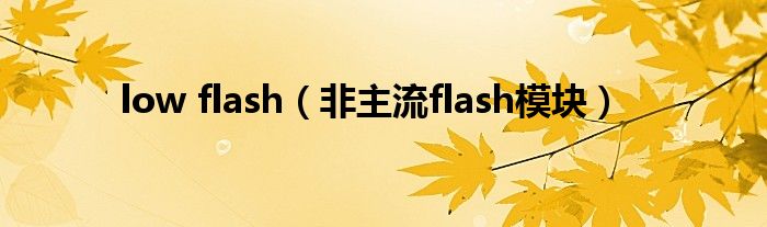 low flash（非主流flash模块）