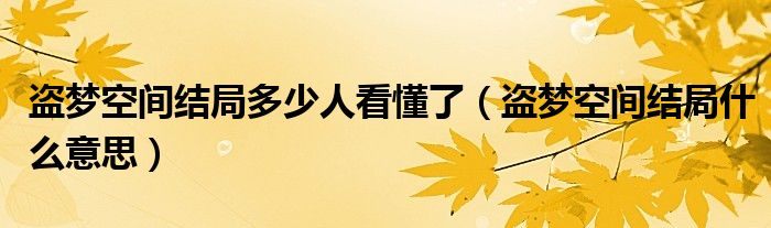 盗梦空间结局多少人看懂了（盗梦空间结局什么意思）