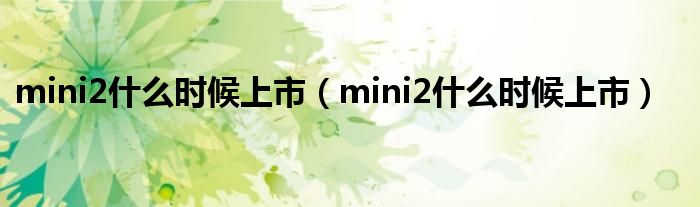 mini2什么时候上市（mini2什么时候上市）