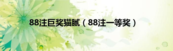 88注巨奖猫腻（88注一等奖）