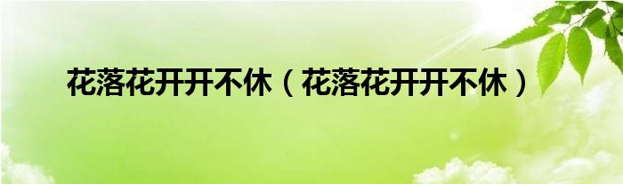 花落花开开不休（花落花开开不休）