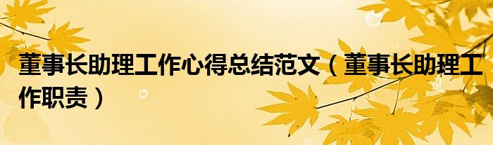 董事长助理工作心得总结范文（董事长助理工作职责）