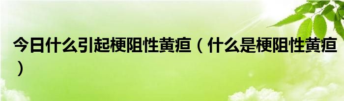 今日什么引起梗阻性黄疸（什么是梗阻性黄疸）