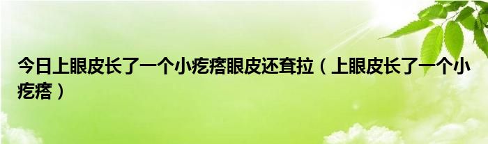 今日上眼皮长了一个小疙瘩眼皮还耷拉（上眼皮长了一个小疙瘩）