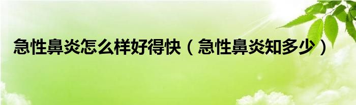 急性鼻炎怎么样好得快（急性鼻炎知多少）