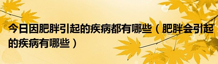 今日因肥胖引起的疾病都有哪些（肥胖会引起的疾病有哪些）