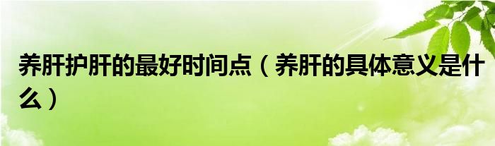 养肝护肝的最好时间点（养肝的具体意义是什么）