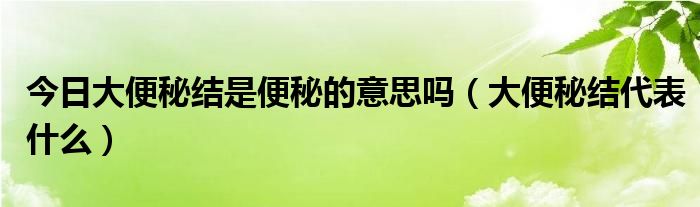 今日大便秘结是便秘的意思吗（大便秘结代表什么）