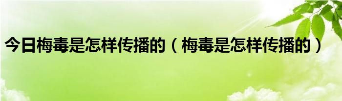 今日梅毒是怎样传播的（梅毒是怎样传播的）