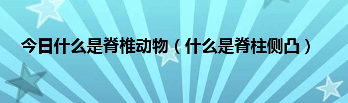 今日什么是脊椎动物（什么是脊柱侧凸）