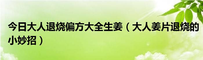 今日大人退烧偏方大全生姜（大人姜片退烧的小妙招）