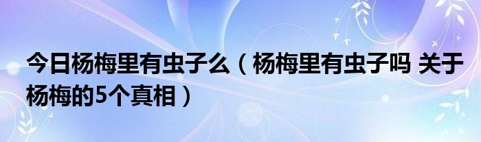 今日杨梅里有虫子么（杨梅里有虫子吗 关于杨梅的5个真相）