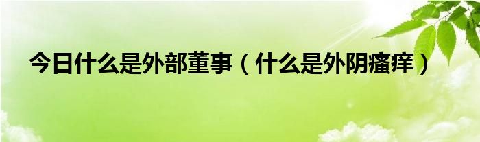 今日什么是外部董事（什么是外阴瘙痒）