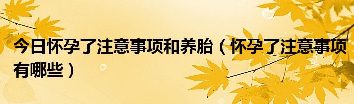 今日怀孕了注意事项和养胎（怀孕了注意事项有哪些）