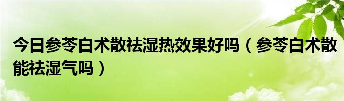 今日参苓白术散祛湿热效果好吗（参苓白术散能祛湿气吗）