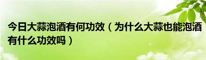 今日大蒜泡酒有何功效（为什么大蒜也能泡酒有什么功效吗）