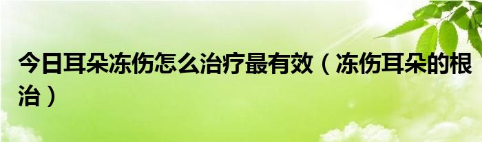 今日耳朵冻伤怎么治疗最有效（冻伤耳朵的根治）