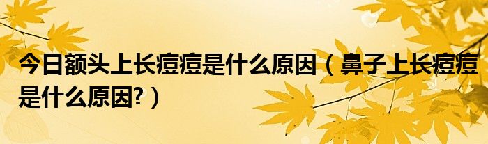 今日额头上长痘痘是什么原因（鼻子上长痘痘是什么原因?）