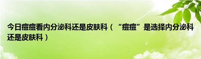 今日痘痘看内分泌科还是皮肤科（“痘痘”是选择内分泌科还是皮肤科）