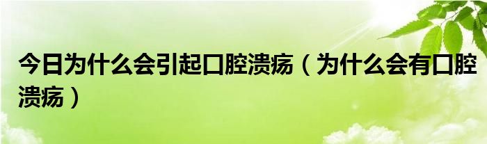 今日为什么会引起口腔溃疡（为什么会有口腔溃疡）