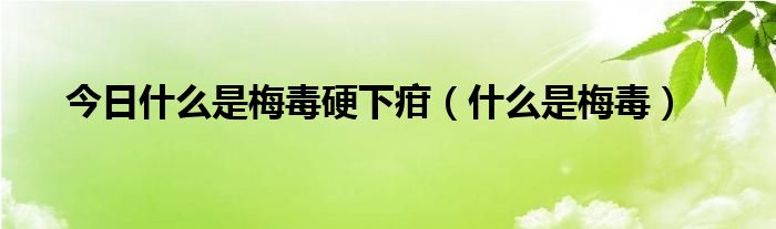 今日什么是梅毒硬下疳（什么是梅毒）