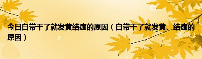 今日白带干了就发黄结痂的原因（白带干了就发黄、结痂的原因）