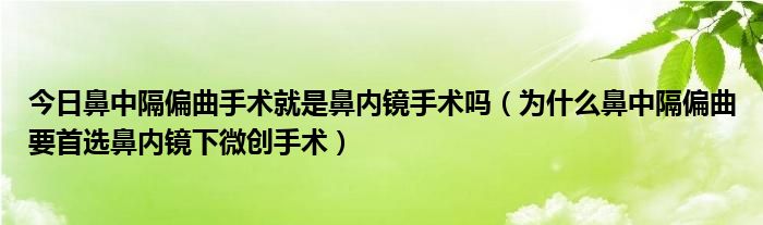 今日鼻中隔偏曲手术就是鼻内镜手术吗（为什么鼻中隔偏曲要首选鼻内镜下微创手术）