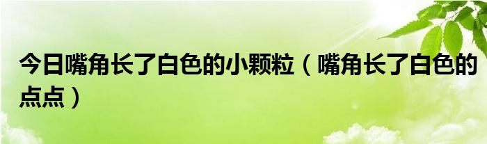 今日嘴角长了白色的小颗粒（嘴角长了白色的点点）